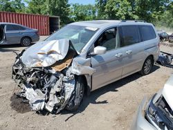 Salvage cars for sale at Baltimore, MD auction: 2010 Honda Odyssey EXL