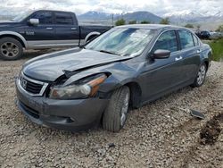 Honda Vehiculos salvage en venta: 2010 Honda Accord EXL