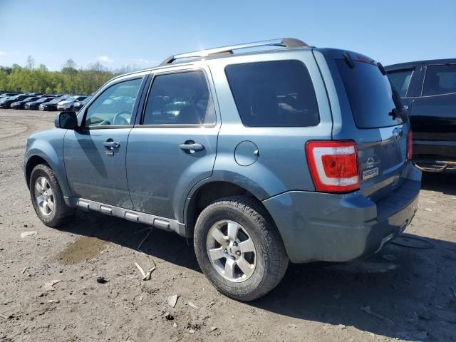 2010 Ford Escape Limited