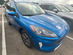 Salvage cars for sale at Hueytown, AL auction: 2020 Ford Escape SEL