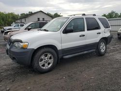 2005 Ford Escape XLT for sale in York Haven, PA
