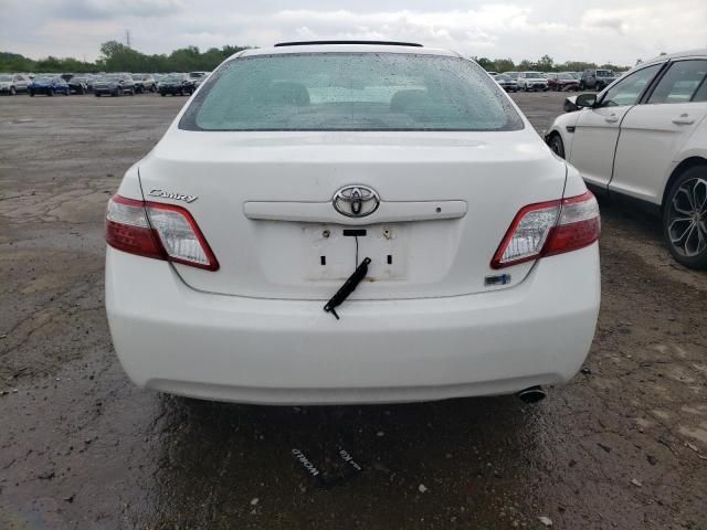 2009 Toyota Camry Hybrid