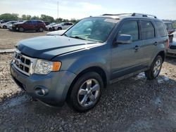 Salvage cars for sale at Cahokia Heights, IL auction: 2012 Ford Escape Limited