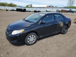 Salvage cars for sale from Copart Columbia Station, OH: 2010 Toyota Corolla Base