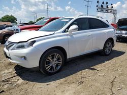 Salvage cars for sale at Columbus, OH auction: 2013 Lexus RX 350 Base
