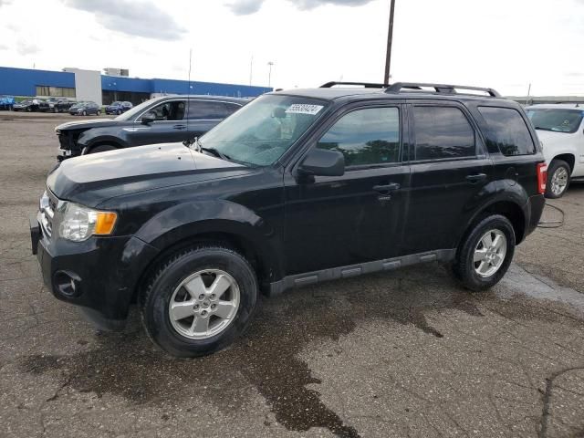 2012 Ford Escape XLT