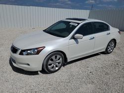 Salvage cars for sale at Arcadia, FL auction: 2008 Honda Accord EXL