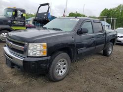 Salvage trucks for sale at East Granby, CT auction: 2010 Chevrolet Silverado K1500 LS