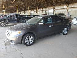 Salvage cars for sale at Phoenix, AZ auction: 2011 Toyota Camry Base