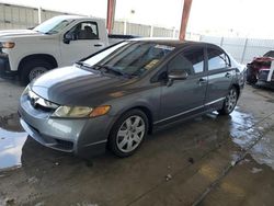Salvage cars for sale at Homestead, FL auction: 2010 Honda Civic LX