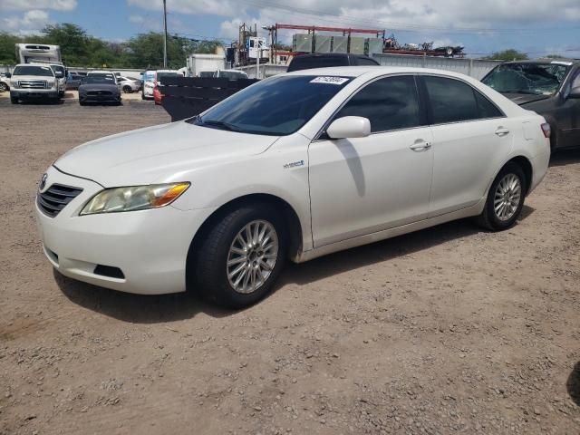 2009 Toyota Camry Hybrid