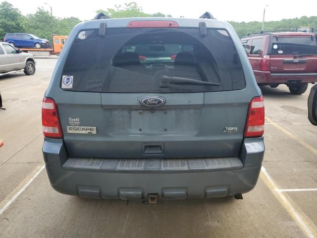 2010 Ford Escape XLT