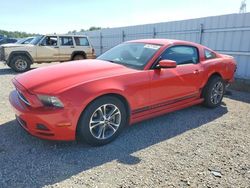 Ford Mustang salvage cars for sale: 2014 Ford Mustang