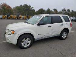 Carros híbridos a la venta en subasta: 2009 Ford Escape Hybrid