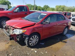 Salvage cars for sale from Copart Columbus, OH: 2013 Toyota Corolla Base