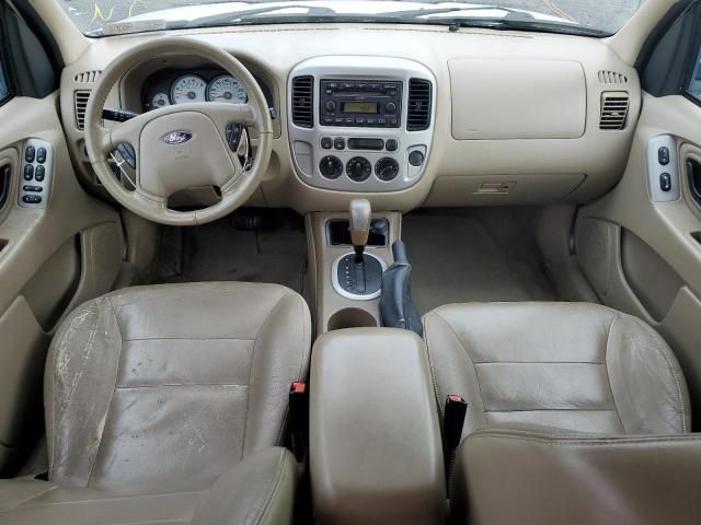 2005 Ford Escape XLT