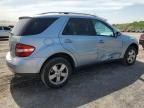 2006 Mercedes-Benz ML 500