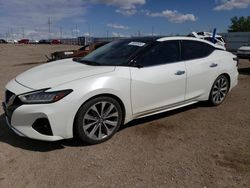 Salvage cars for sale from Copart Greenwood, NE: 2020 Nissan Maxima Platinum