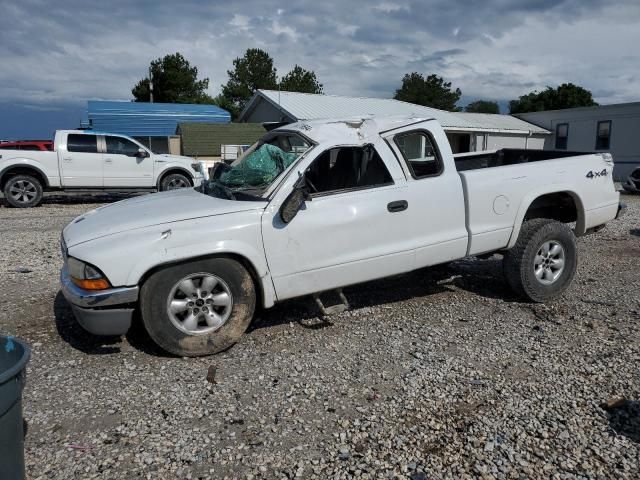 2004 Dodge Dakota SLT