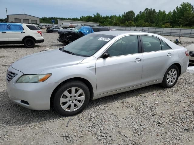 2009 Toyota Camry Hybrid