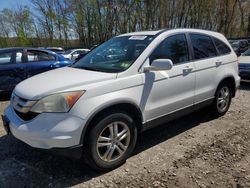 Honda salvage cars for sale: 2010 Honda CR-V EXL