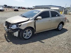 Toyota Camry salvage cars for sale: 2009 Toyota Corolla Base