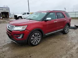 Ford salvage cars for sale: 2016 Ford Explorer Platinum