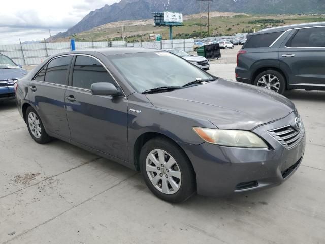 2009 Toyota Camry Hybrid