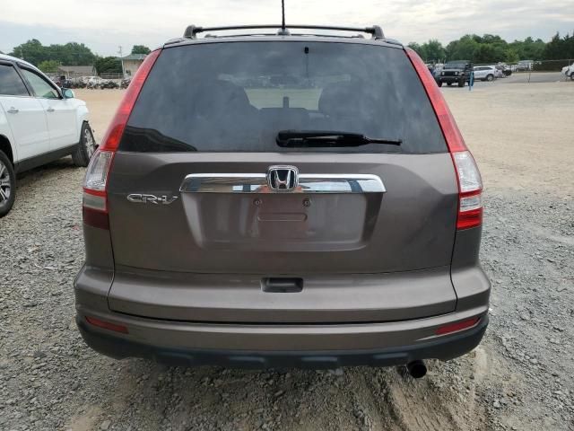 2010 Honda CR-V EXL