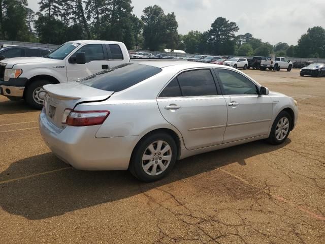 2009 Toyota Camry Hybrid