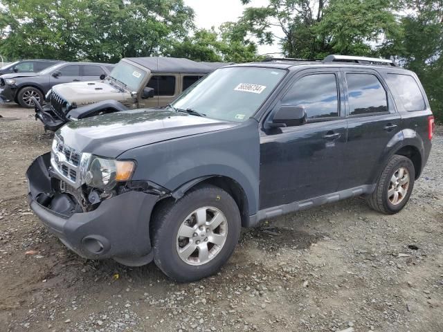 2010 Ford Escape Limited