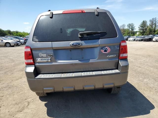 2009 Ford Escape XLT