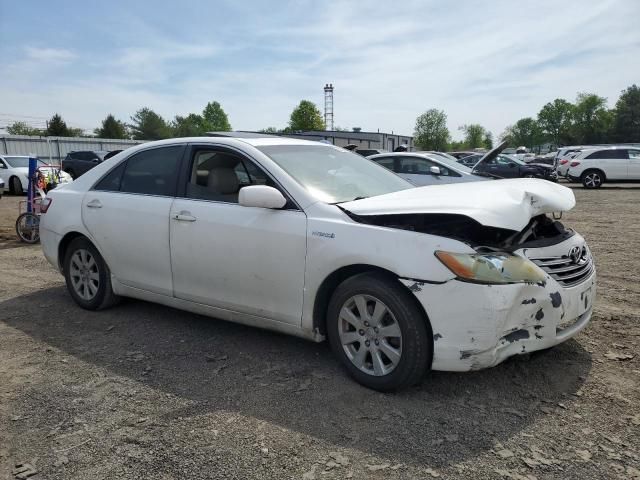 2008 Toyota Camry Hybrid