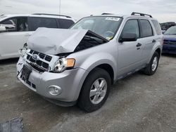 Salvage cars for sale from Copart Cahokia Heights, IL: 2010 Ford Escape XLT