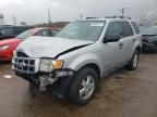 2008 Ford Escape XLT