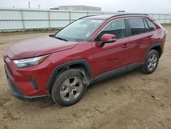 Salvage cars for sale from Copart Bismarck, ND: 2023 Toyota Rav4 XLE