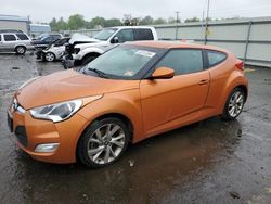 Salvage cars for sale at Pennsburg, PA auction: 2017 Hyundai Veloster