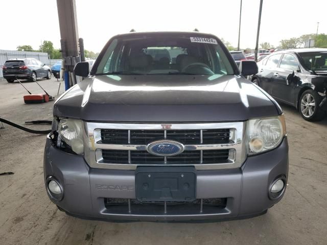 2008 Ford Escape XLT