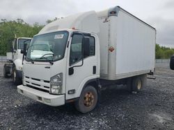 Salvage cars for sale from Copart Grantville, PA: 2009 Isuzu NPR