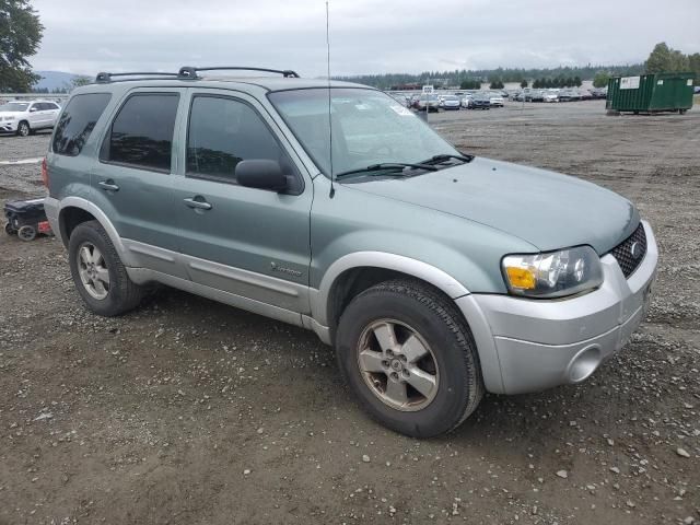 2005 Ford Escape HEV