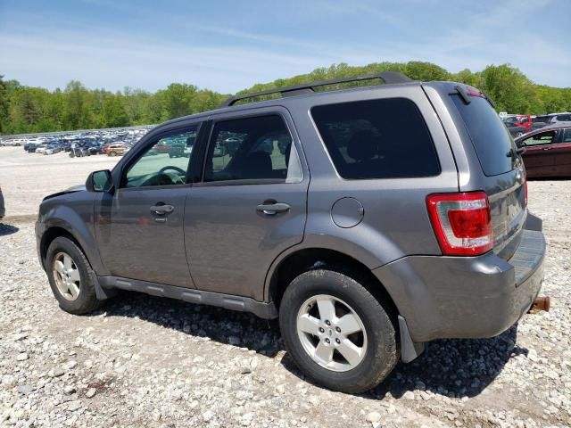 2009 Ford Escape XLT