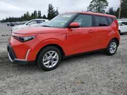 KIA Soul LX Vehiculos salvage en venta: 2023 KIA Soul LX