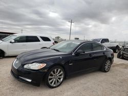 Salvage cars for sale from Copart Andrews, TX: 2011 Jaguar XF Premium