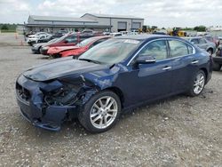 Salvage cars for sale at Earlington, KY auction: 2011 Nissan Maxima S