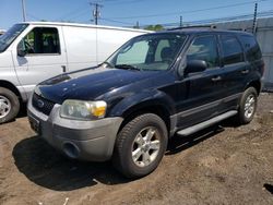Ford salvage cars for sale: 2006 Ford Escape XLT