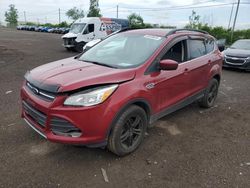 Salvage cars for sale from Copart Montreal Est, QC: 2016 Ford Escape SE