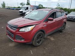 Ford Escape se Vehiculos salvage en venta: 2016 Ford Escape SE