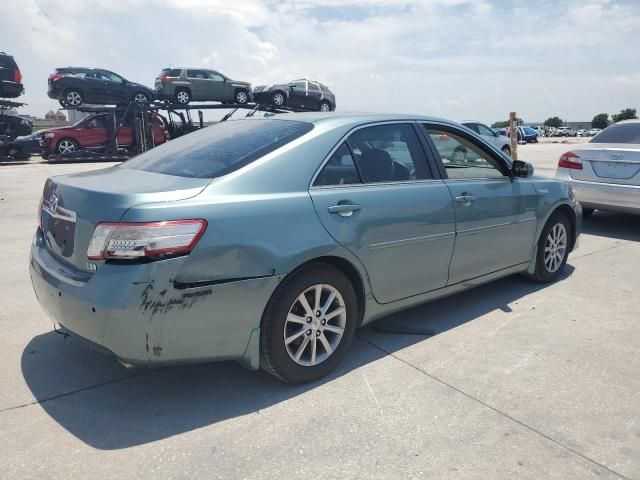 2010 Toyota Camry Hybrid