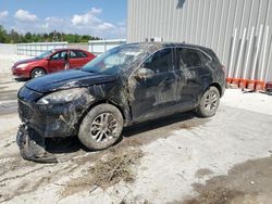 Ford Vehiculos salvage en venta: 2020 Ford Escape SE