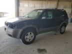 2002 Ford Escape XLT